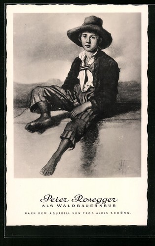 Ansichtskarte peter rosegger - peter,