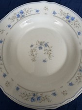 Arcopal France 4 teiliges Geschirr Set Blau Blumen Suppenteller 