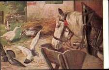 Künstler Ak Zugpferd am Futtertrog, Tauben, Gänse - 3590925