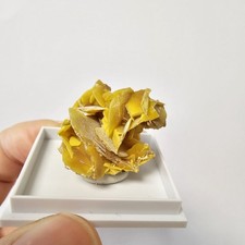 Kleinstüfchen – Wulfenit