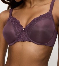 Triumph Minimizer BH Ladyform