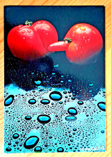 Postkarte 2 Tomaten_originelle Form_Wassertropfen_Foto_