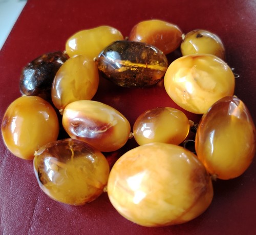 Butterscotch bernstein oliven - butterscotch,
