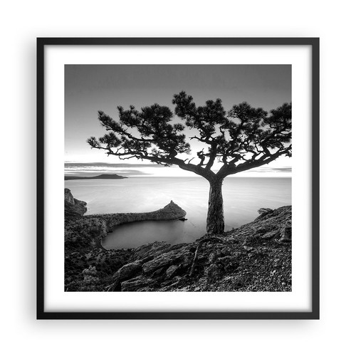 Wandbilder 50x50cm poster baum - wandbilder,