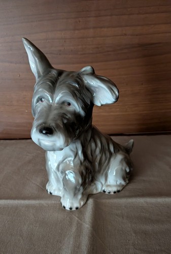 West highland terrier hund - west,