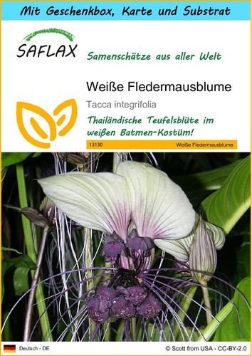 Saflax geschenk set weiße - saflax,