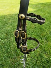 Kopfstück mit Postkandare