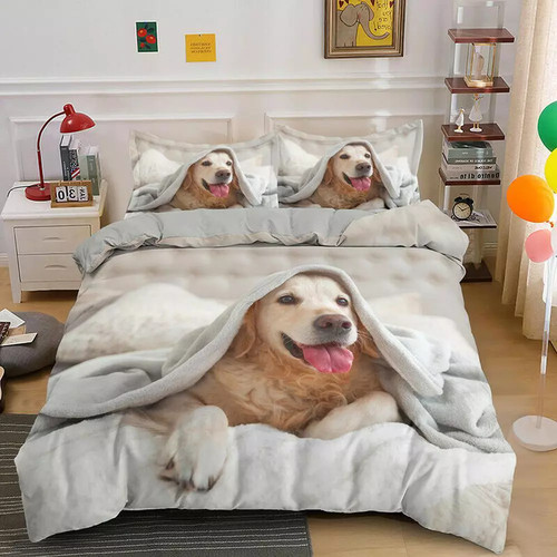 Golden retriever hunde - golden,