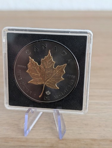 Kanada silber maple - 1,