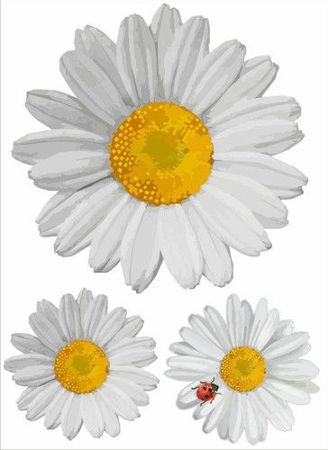 Margeriten aufkleber gross - margeriten,