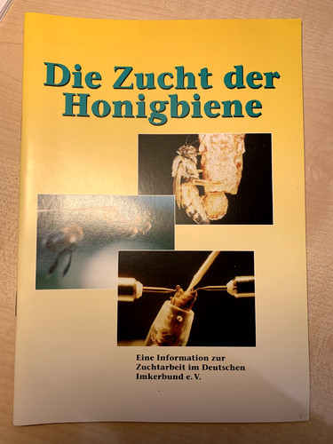 Die zucht der - die, honigbiene