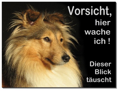 Collie-Hund-Aluminium-Schild-3