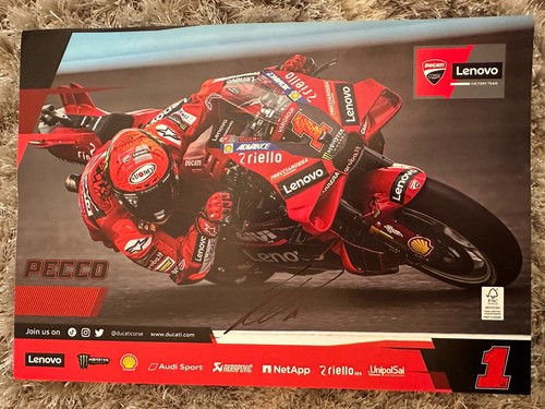 Francesco pecco bagnaia - pecco,