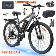 1000W E-Bike 29 Zoll
