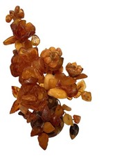 Eine Kleiner Bernsteinbaum Aus
