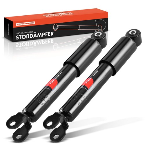 Stoßdämpfer gasdruck - 2x,
