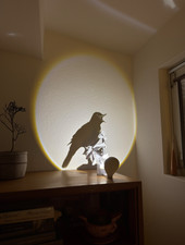 Schattenlampe, Nachtlicht