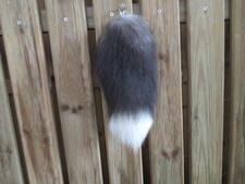 Taschen anhänger , echt fuchsschweif , silber fuchs ,