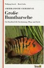 Amerikanische cichliden - amerikanische, ii