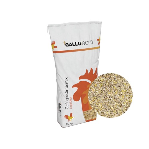 Gallugold hühner - hühner, &
