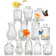 Kleine Glasvasen 12 Stück Set