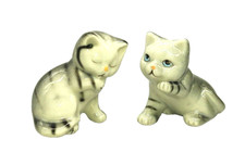 Set 2 Katzen Kätzchen