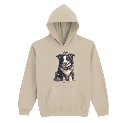 Border collie winter hund - border,