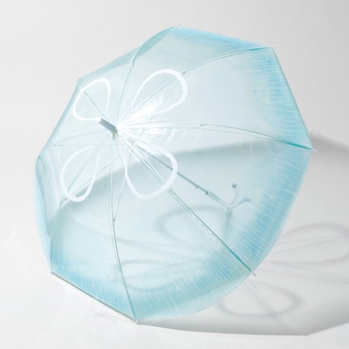Aurelia wasser quallen - aurelia,