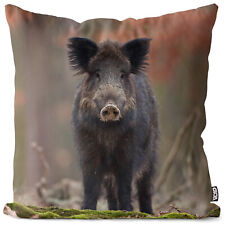 Eber Wildschwein Jagd Tier