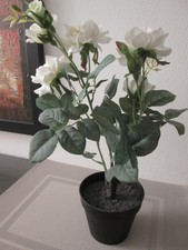 IKEA FEJKA Topfpflanze Kunstblume Blume künstlich Rose weiß 3 Blüten Stengel