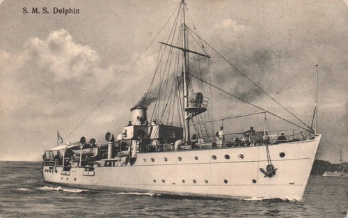 Delphin ungelaufen - ak, s.m.s.