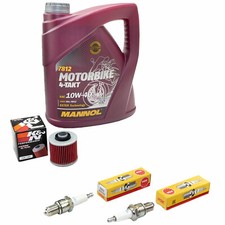 Öl Inspektion Set 4L