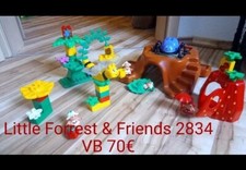 Lego Duplo "Little Forrest & Friends 2834"