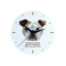 Englische bulldogge bulldog - bulldogge,,