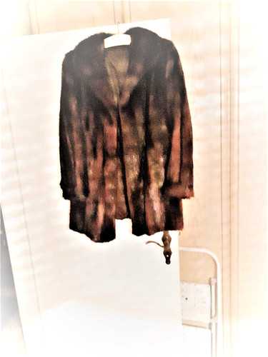 Pelzjacke bisam wamme 48 - bisam, gr.