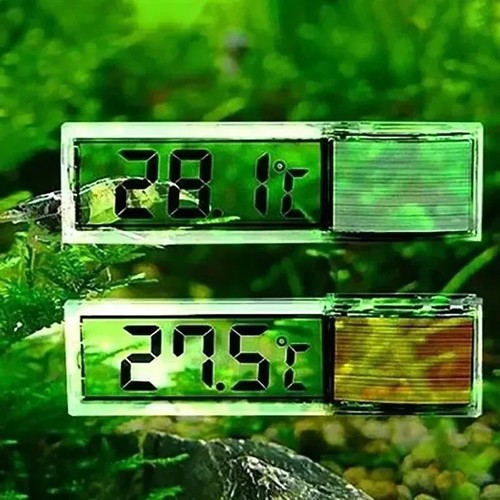 Stück aquarium thermometer - aquarium,