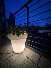 Bloempot leuchtender