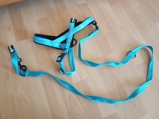 Alcott Norweger Hundegeschirr