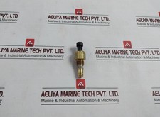 Ppe / Pa Gf30 Drucksensor 264