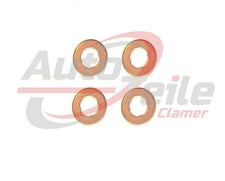 4x Dichtungsringe Düsenhalter