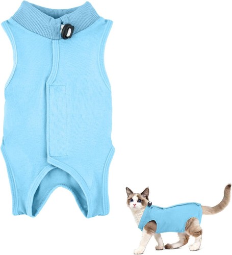 Katzenbody nach einteiler - katzenbody,