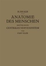 Anatomie Des Menschen Ein