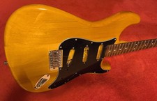 Stratocaster Natur
