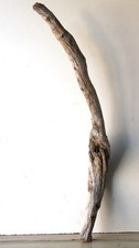 Treibholz Schwemmholz