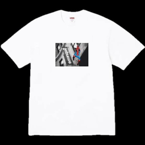 Supreme spiderman tee - supreme, (l)