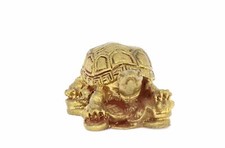 Schildkröte Symbol der Erde