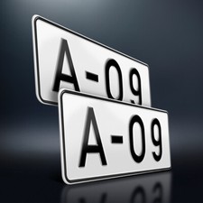 2 Kennzeichen | Alte DIN 1451 | 320 x 110 mm | Ohne EU-Feld | Nummernschilder