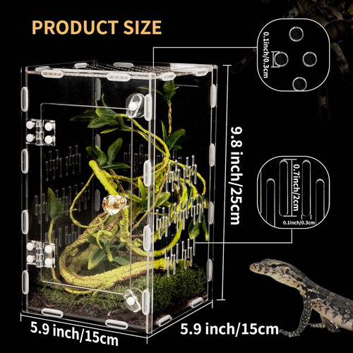 Acrylic reptile terrarium - reptile,