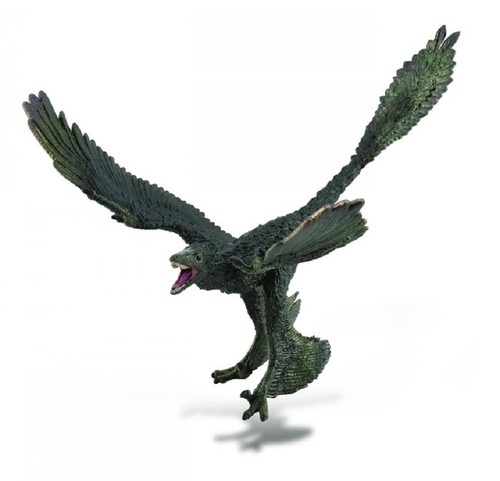 Collecta 88875 microraptor - collecta, 16