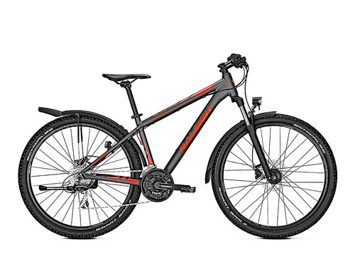 Raleigh daymax herrenrad - daymax, 29"